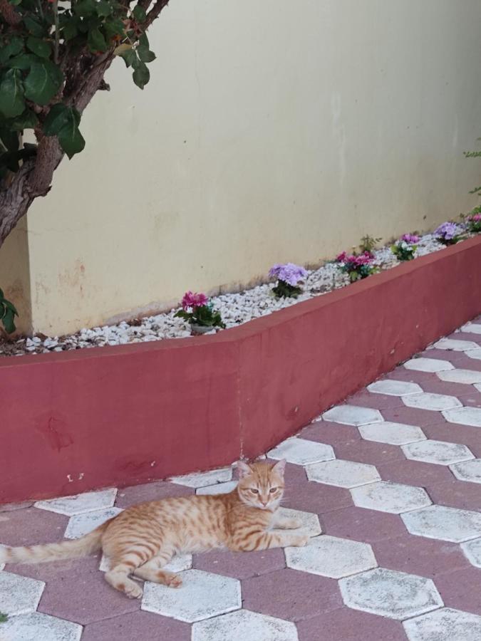 Hotel Takis Agios Georgios  エクステリア 写真